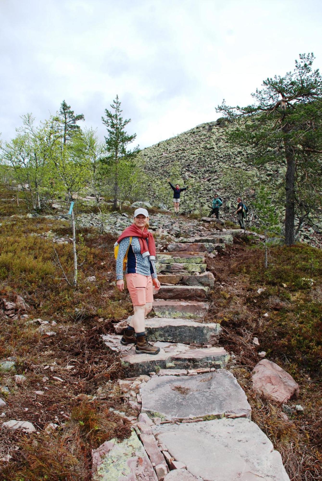 14 - Fulufjellets Nasjonalparker - Natur-, Dyre- Og Fugleopplevelser Trysil Exterior photo